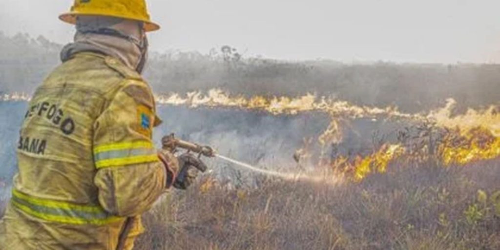 Governo abre inquérito e busca responsáveis por incêndios no Amazonas