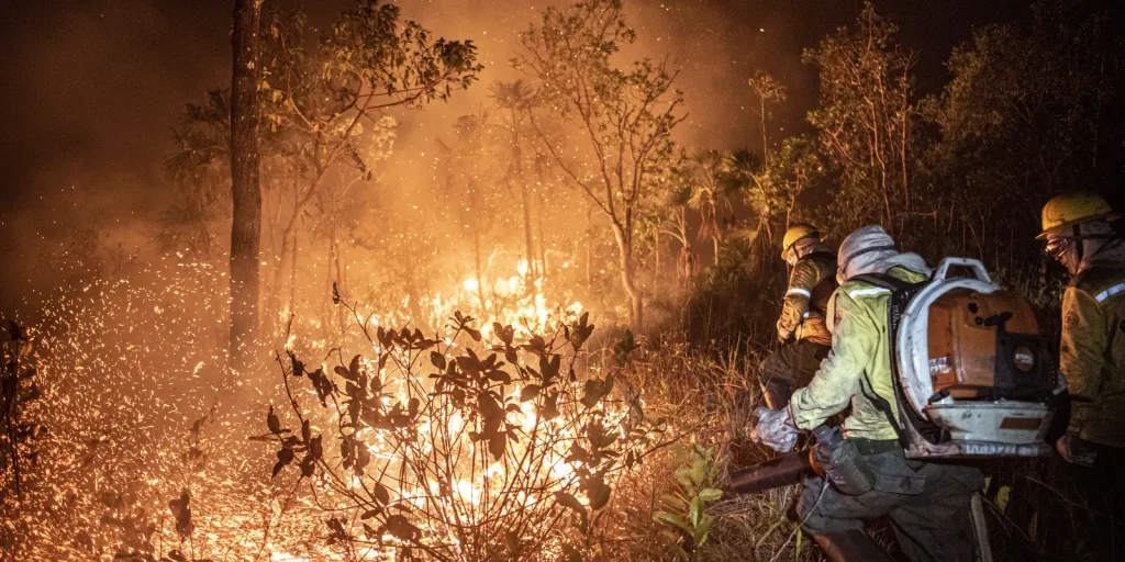 Ibama apaga 229 incêndios no Amazonas; 20 focos ainda ativos