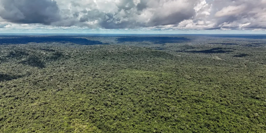 MapBiomas aponta queda recorde no desmatamento da Amazônia em 2025